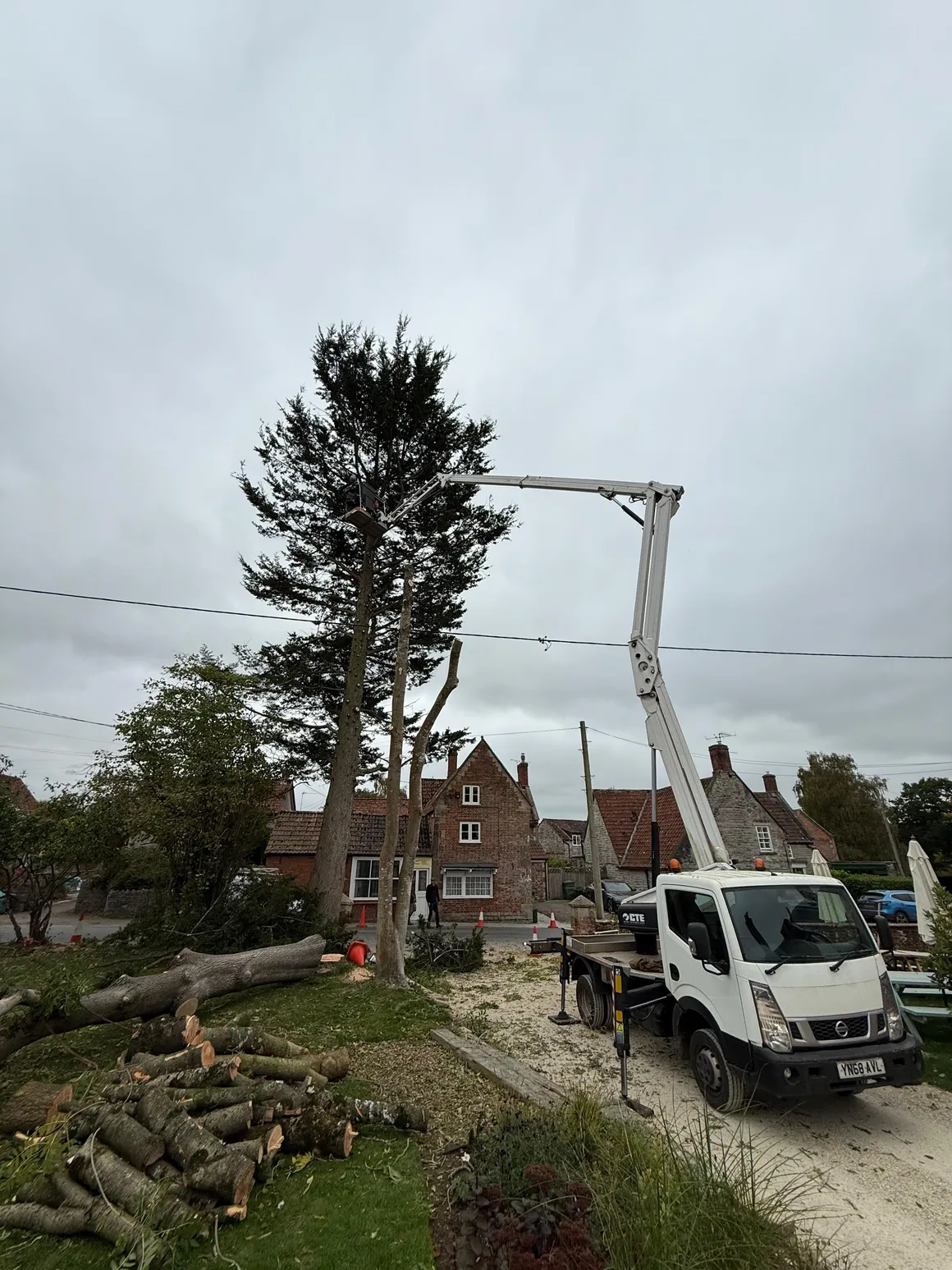 MEWP cherry picker used for safe conifer removal on a residential street
